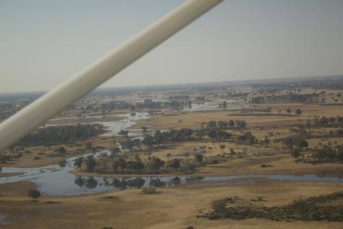 Maun 2023