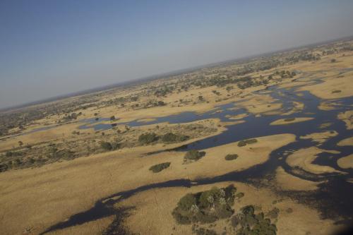 Maun 2023