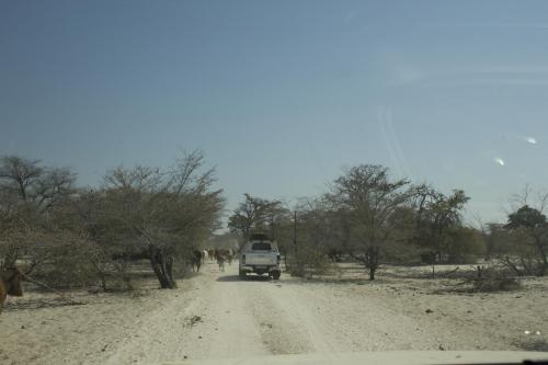 Maun 2023