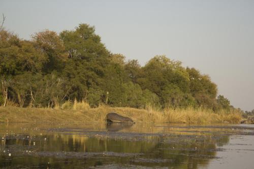 Caprivi 2023