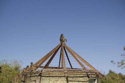 IMG_4184
