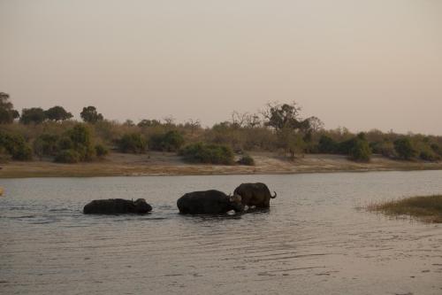 IMG_4326