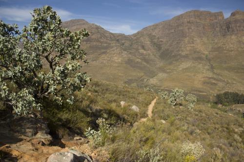 Cederberg