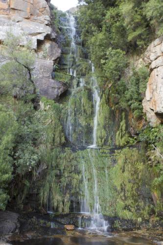 Cederberg